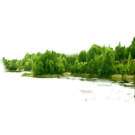 Forest PNG Transparent Images | PNG All Images with transparent background, nature in png format.