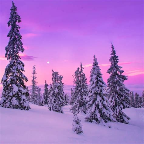 🇳🇴 Snowy Sunrise And Moon Norway By Jørn Allan Pedersen ️🌅 Winter