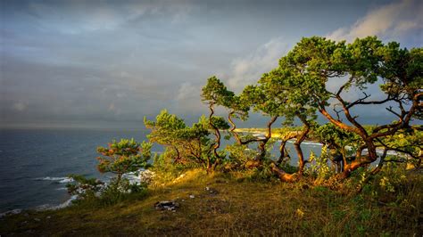 Nature Landscape Trees Dalarna Sweden River Clouds Sunset Rocks