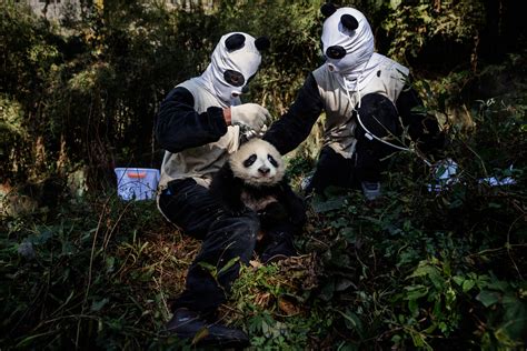Pandas Time