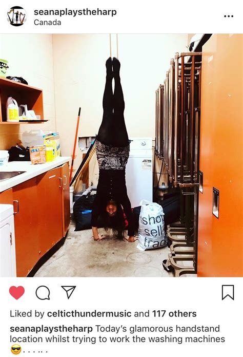 Seana Davey Upside Down Harpist Doing Laundry On Tour 105