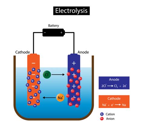 Understand How Electrolysis Works Worksheet EdPlace
