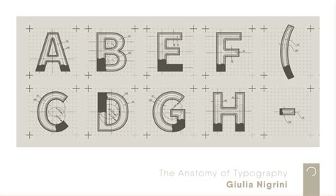 The Anatomy Of Typography Ontwerp