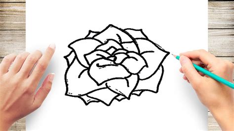 How To Draw A Rose Without Stem Step By Step Youtube