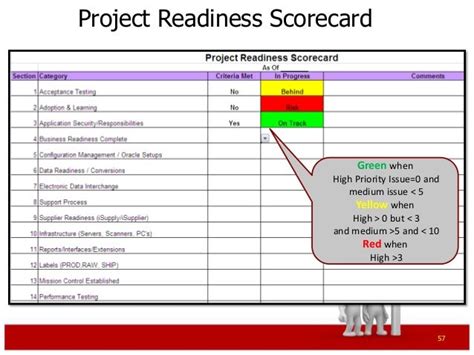 Erp Project Management Primer