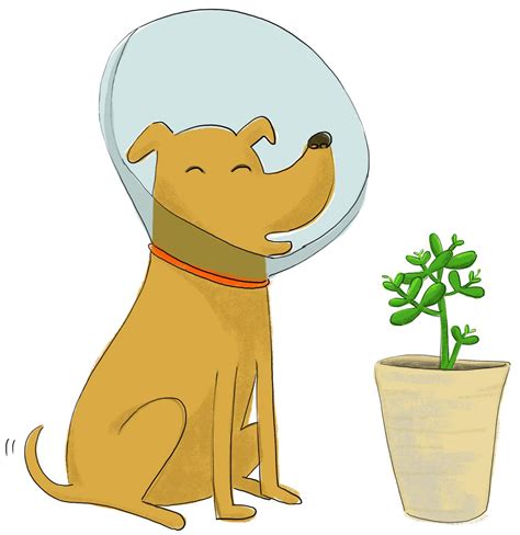 Erica Salcedo Illustration | Dog illustration, Illustration, Animal ...