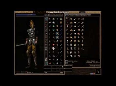 Bastion companion guide & build mary companion guide & build companion system guide zos mentioned in an interview that the companion bastion is like a chivalrous knight kind of personality. Morrowind Best Build Guide Pt.6: Exciting Spells and How ...