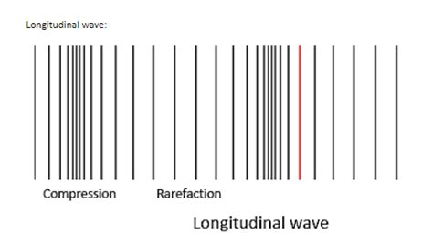 Longitudinal vs transverse wave a wave is a disturbance which moves away from what created it and changes the thing that it travels on like the surface of the ocean or the air. Explain the reflection of the transverse and the longitudinal class 11 physics CBSE