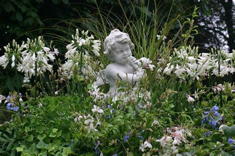 We did not find results for: How To Create an English Garden | Boston Design Guide