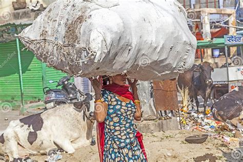indian woman carries heavy load on her head editorial stock image image of everest cargo