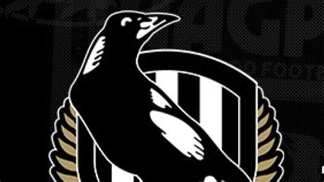 Collingwood football club australian football league carlton football club new york magpies geelong football club, bullet club logo, sport, logo png. Player agent Ned Guy announced as Collingwood's new list ...