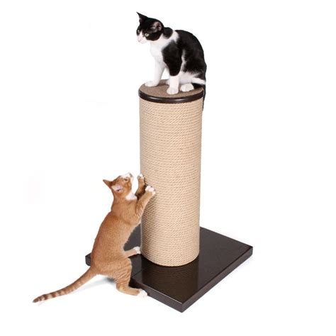 Maxscratch Oversized Cat Scratching Post And Perch By Primetime Petz