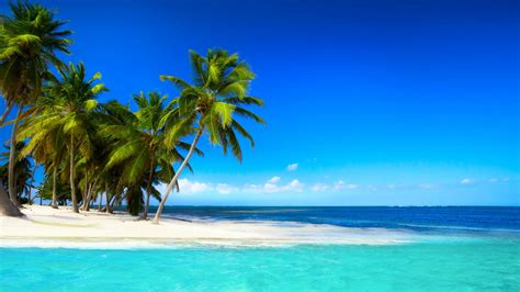 Tropical Beach With Palm Trees Beautiful Sky Blue Sea