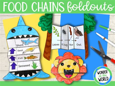 Food Chains Sequencing Foldable Activities Ks1 Teaching Resources