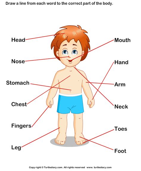 Environment - Preschool