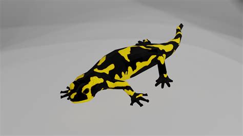3D Model Tiger Salamander TurboSquid 1310830