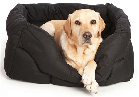 Choosing The Best Dog Beds For Your Pet
