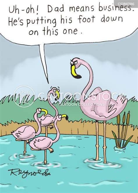 Flamingos Cartoons And Comics Funny Pictures From