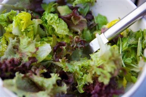 1847, john marius wilson, the rural cyclopedia: Storing Salad | ThriftyFun