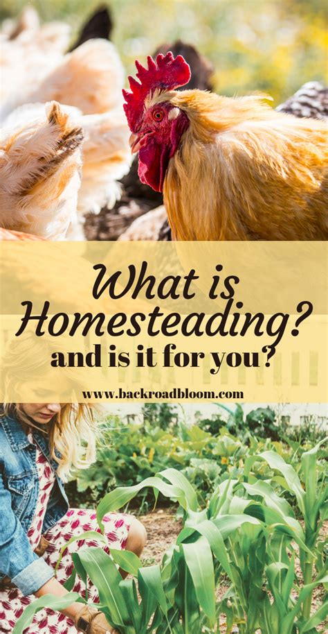 Beginners Guide To Homesteading What Is Homesteading What Is