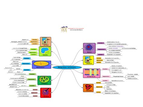 Biology Notes Cell Structure Mind Map Biggerplate