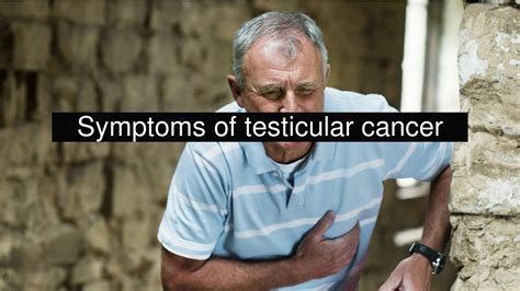 Symptoms Of Testicular Cancer Youtube