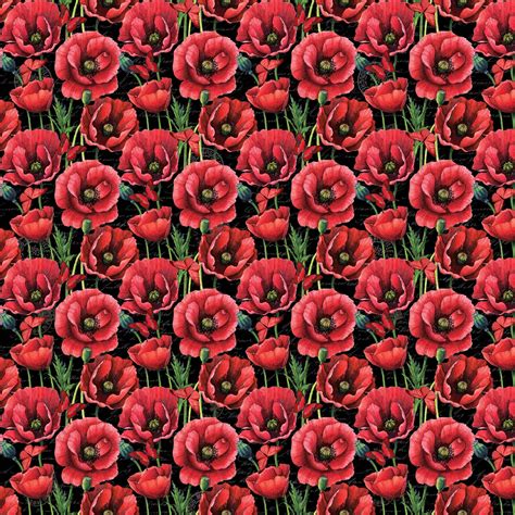 Ooh La La Black Poppy Allover Poppies The Quilting Shed