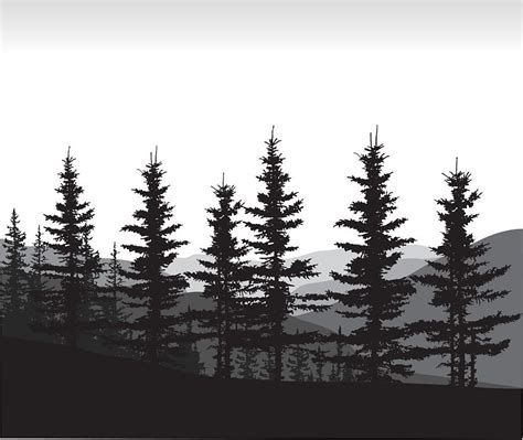 Pine Tree Silhouette Landscape Tree Silhouette