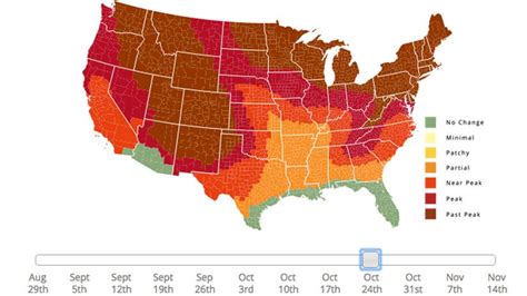 Fall Foliage Map Shows When You Should Plan Leaf Peeping