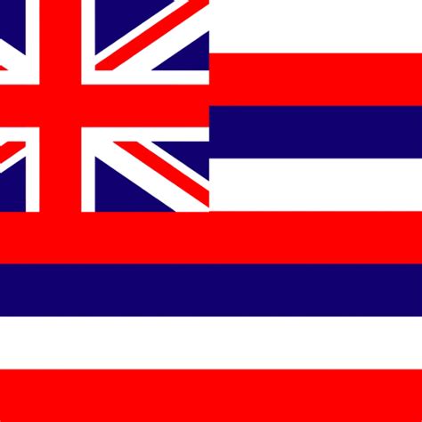 Bandera De Hawái O Hawaii Banderas Y Soportes