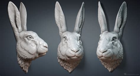 Hare Rabbit Head 3d Model For 3d Printing Digital Sculpting By
