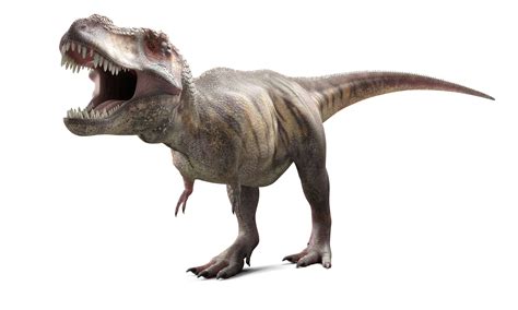 The Top 10 Famous Dinosaurs That Roamed The Earth