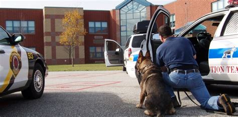 Police K9 Instructor Course Teaching K9 Handlers School For Dog