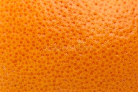 Texture Of Citrus Skin Stock Image Image Of Sweet Color 10963995