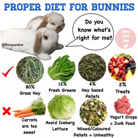 Printable Rabbit Diet Chart