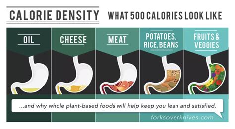 Calorie Density 101 How To Lose Weight Eating More Food