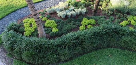 If you want a livelier look go with ornamental grasses like mondo, feather reed grass, maiden grass, pampas grass. Liriope Low Maintenance Plants For Ground Cover | Low ...