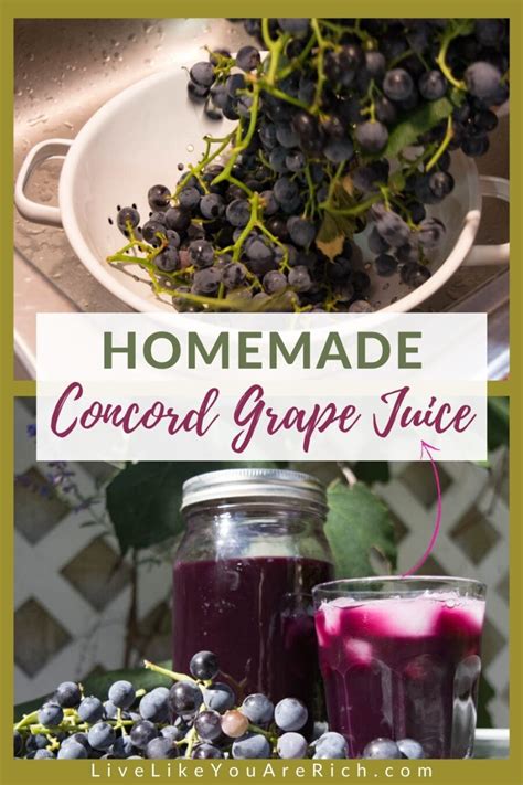 Homemade Concord Grape Juice Live Like You Are Rich