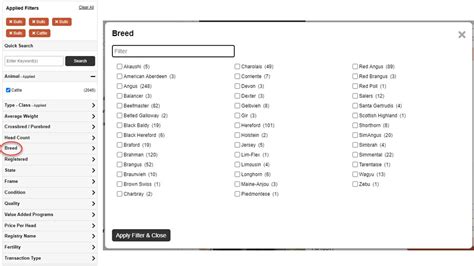 Angus Bulls Commercial - Beef Cattle For Sale in HUGO, OKLAHOMA