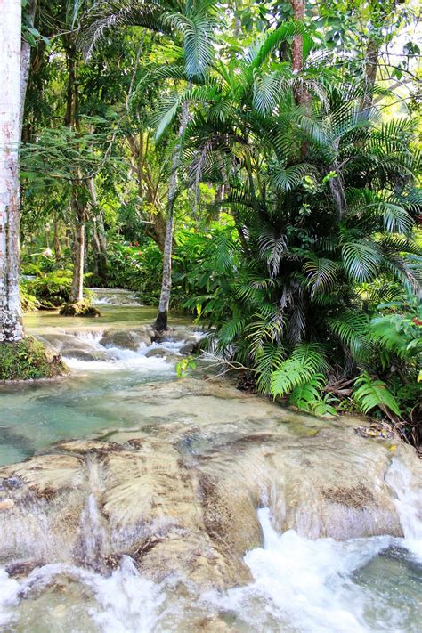 8 Unique Things To Do In Jamaica Simply Wander Dunn River Falls