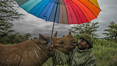 @NatGeo: The Most Popular Instagram Photos - National Geographic Society