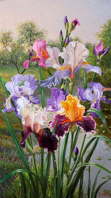 Beautiful Color Pencil Drawings