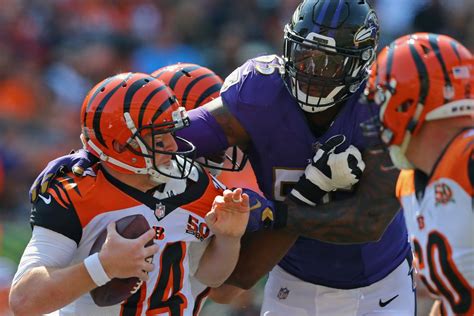 After Dominating Cincinnati Ravens Are A Contender In The Afc Baltimore Beatdown