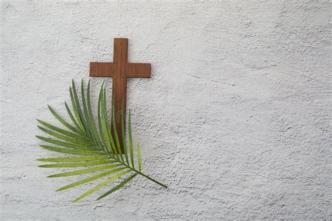 9373 Palm Sunday Stock Photos Free And Royalty Free Stock Photos From