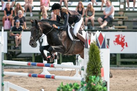 Peder fredricson bio, video, news, live streams, interviews, social media and more from the 2021 tokyo olympic games. Ny häst till Peder Fredricson | Ridsport