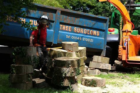 Chesham bois is a village in buckinghamshire, england, adjacent to both amersham and chesham. Chesham Bois Parish Council - South Bucks Tree Surgeons