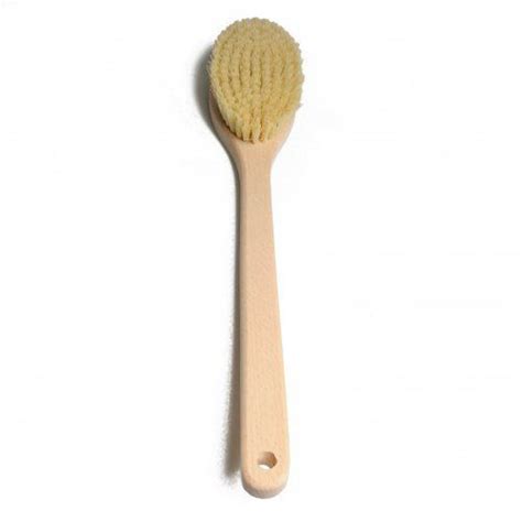 | cactus long handle brush. Natural VEGAN Long Handle Cactus Brush | Oh Lou Lou! | 100 ...