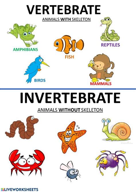Sancho 1º Y 2º: VERTEBRATES/ INVERTEBRATES Vertebrados E , 48% OFF