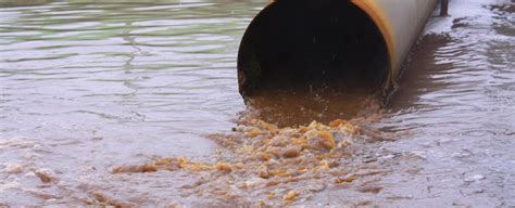 Typhi), is a global health concern and its treatment is problematic due to the rise in antimicrobial resistance (amr). Typhoid Fever | WHO | Regional Office for Africa