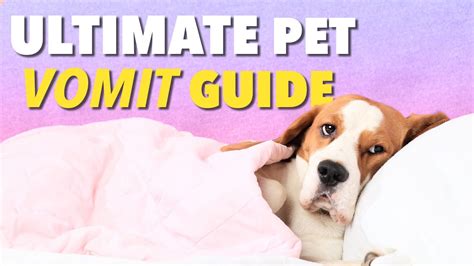 Ultimate Vomit Color Guide For Dogs Ultimate Pet Nutrition Dog